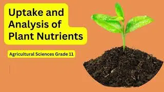 Agricultural Sciences grade 11: Uptake and Analysis of Plant Nutrients