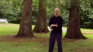 Neijin - 1/6 - www.energy-healing-online.de