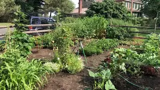 Red Bank Battle Field Donation & Herb Garden 2024