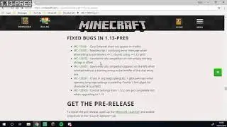 MINECRAFT UPDATE - 1.13 Pre-Release 9 - WEDNESDAY RELEASE!