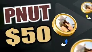 PNUT COIN NEWS TODAY: IF YOU HOLD PNUT TOKEN YOU MUST SEE THIS - PNUT PRICE PREDICTION
