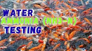 Water Ammonia (NH3-N) Testing using Soil Sathi Device