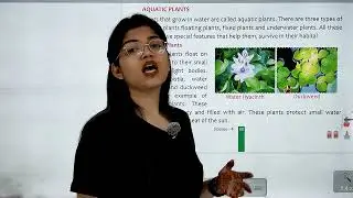 CLASSERA BOOKS SCIENCE-4  | CH-6 : PLANTS : LIVING AND SURVIVING
