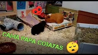 DIY cama para cobayas 🛏🐹