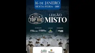 LEILÃO MISTO 16/01/2026 - TOP RIO LEILÕES - RIO PARANAÍBA-MG