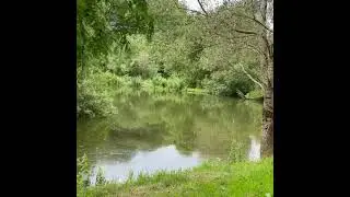Listen to nature down at the lake