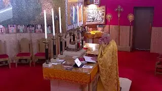 Greek Orthodox LIVE (11/23/25) 9th Sunday of Luke Orthros and Divine Liturgy
