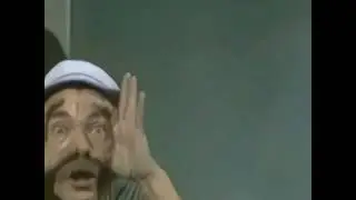 Seu Madruga Professor Reverso