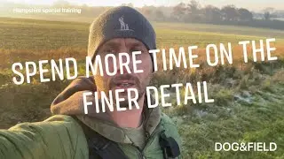 Training faults working Cocker Springer Spaniel gundog training tips and tricks