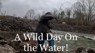 Fly Fishing Kentucky for Trout