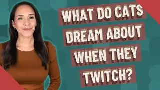 What do cats dream about when they twitch?