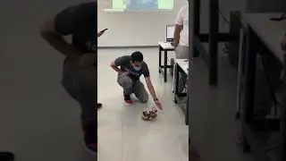 GIU Summer Camp Prototype