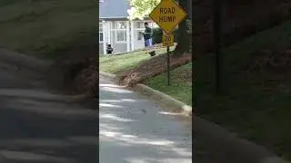 NEIGHBORHOOD STALKERS ((GangStalking/GroupStalking/Organized Stalking))