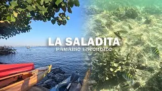 La Saladita, Guerrero | Playa de surfistas | Paraíso ecosistemico