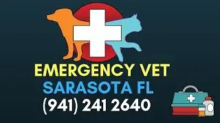 Emergency Vet Services Sarasota FL | 24 Hour Animal Hospital Sarasota | (941) 241 2640