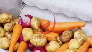 Brush washing peeling machine