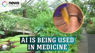 How AI is predicting the medicinal properties of plants