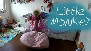 Little Monkey