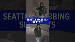 Seattle police searching for deadly stabbing suspects