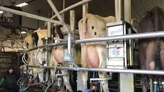CFAP2 aid to farmers