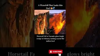 Horsetail Fall in Yosemite glows bright orange in February, looking exactly like molten lava!
