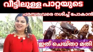 Get rid of cockroaches in your house - വീട്ടിൽ നിന്ന് പാറ്റയുടെ പരമ്പരയെ തന്നെ തുരുത്താൻ