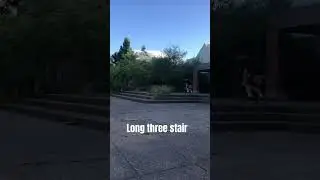 Stair sets #skate #skateboarding #skateboard #staircase