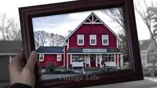 Cape Cod     Positively Different