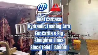 Beef Carcass Hydraulic Loading Arm in Operation | Cattle Slaughter Equipment Line | HW Machinery