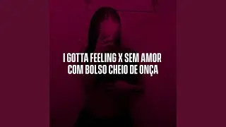 I Gotta Feeling X Sem Amor Com Bolso Cheio de On&ccedil;a