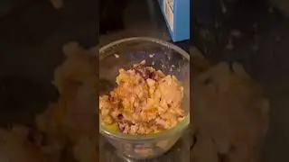 Homemade Fresh Dog Food $12 a week vs $100 from online companies!! 🦮🍲 #Easypeasyhomadedogfood
