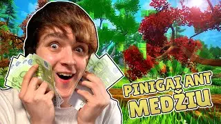 PINIGAI AUGA ANT MEDŽIŲ!