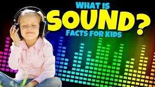 What is Sound? | Educational Facts for Kids about Sound