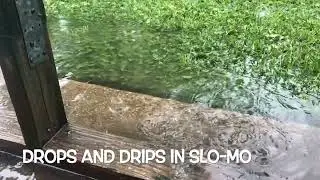 Slo-Mo Drips & Drops After A Rain