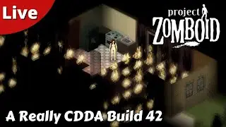 A Really CDDA Challenge In Build 42 How Tough Is It? - Project Zomboid - #02 - live