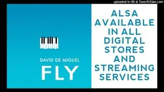 Ludovico Einuadi - Fly - David de Miguel