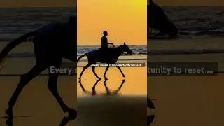 #sunset #love #90s #status #inspiration #shorts #life #beach #hindisong  #sea #sunrise #environment