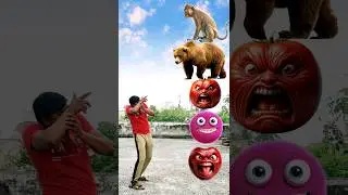 sad Bandar bhalu white kutta black khargosh kachhua funny VFX magic video  बंदर भालू  #shortsfeed