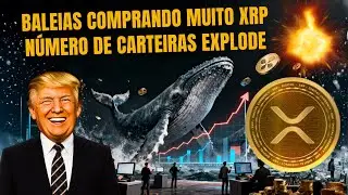 Aumentou o N&uacute;mero de Baleias de XRP: O Que Eles Sabem sobre a Pr&oacute;xima Alta?