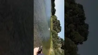 RC Genesis Leopard 4092er 1730KV Hannover