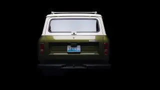 1973 Scout II - Rear Hatch & Tailgate