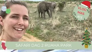 Op Safari Dag 2 | Safari in Ruaha National Park | Tanzania | Vlogmas #13 Selma Kamm