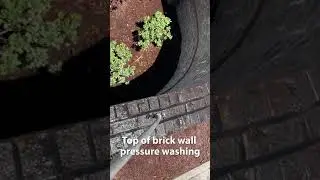 Top of brick wall pressure washing #brick #pressurewashing