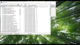 Nvram editor by maui