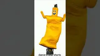 Air Dancers Inflatable Tube Man #danceimageshorts #dance #shortsfeed