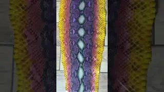 Pitone Venere-Viola
