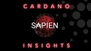 Обновление Cardano (ADA) Sapien &mdash; пусть будет Cardano! | Cardano Insights