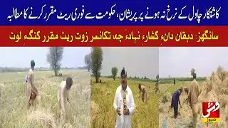 Sanghar: Farmers demand immediate government action to set rice prices | Vsh News