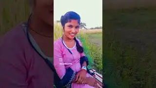 manele janele
