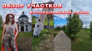 Обзор участков в Волоколамском районе #земля #vlog #торги